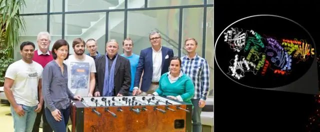 Выяснение генома хара: значение появления наземных растений в палеозойскую эру