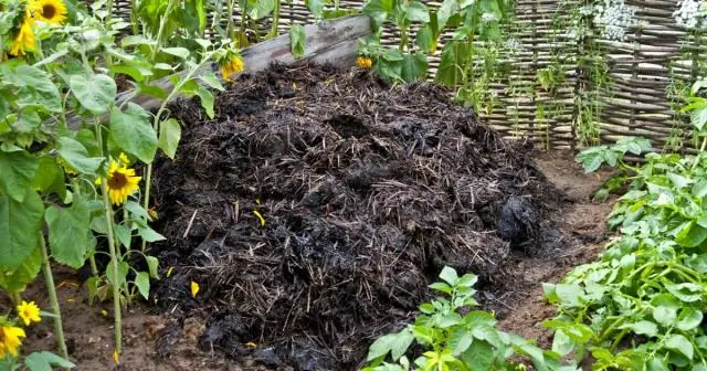 Плюсы и минусы гидроэнергетики