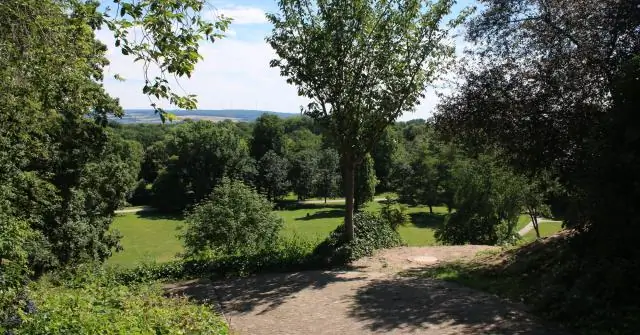 Покройте США на 89 процентов деревьями или используйте солнечную энергию