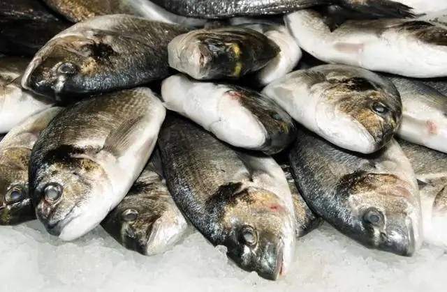 Три новых вида рыб обнаружены в экстремальных глубинах Тихого океана