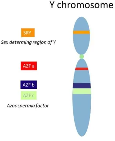 Новое понимание механики ротавируса может привести к улучшению лечения