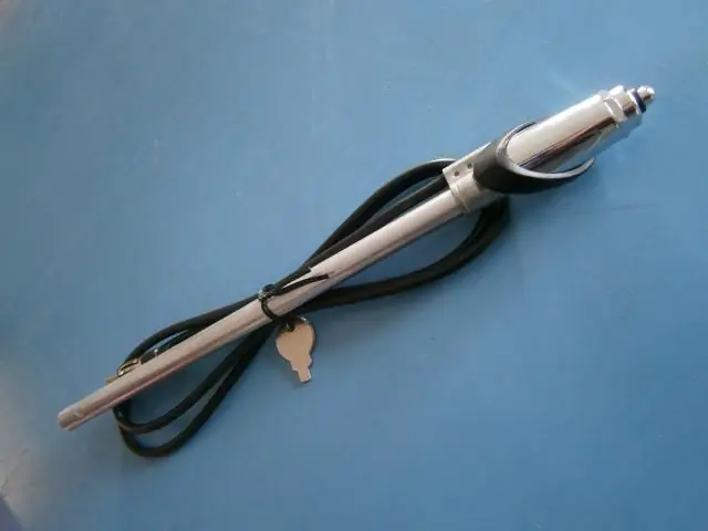 Жук адаптирует химическую мимикрию, чтобы паразитировать на разных видах пчел