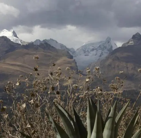 Глобальные прибрежные водно-болотные угодья должны переместиться вглубь суши в борьбе с изменением климата