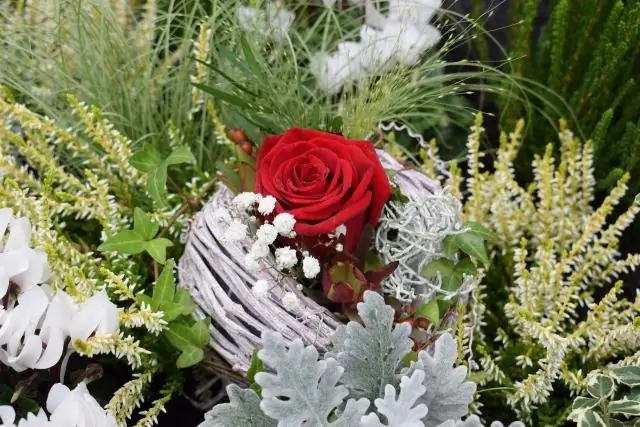 Одной ногой в могиле для фазанов, предпочитающих сторону