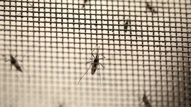 Как вирус дестабилизирует геном