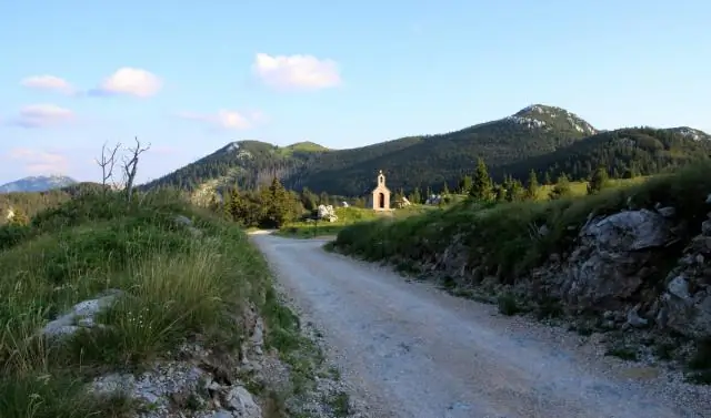 Вспышки света показывают, как растения сигнализируют об опасности на больших расстояниях