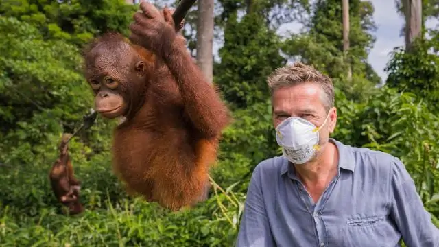 Известная теория живой Земли обновлена до «Gaia 2.0»