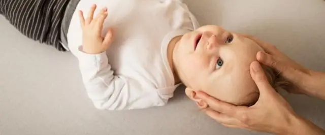 Исследование показывает токсическое воздействие нефтяных диспергентов на устриц после разлива из глубоководного горизонта