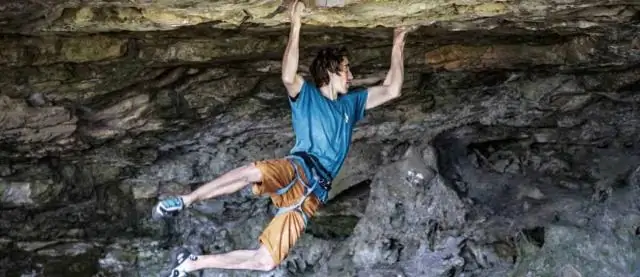 Новый взгляд на спорный вопрос об обилии видов и плотности популяций