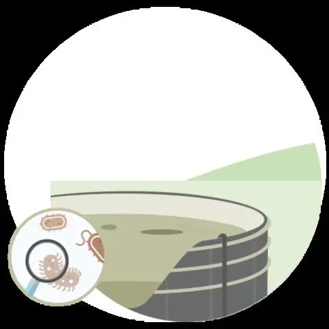 Как растения используют микробы для получения питательных веществ: исследование может привести к ускорению роста сельскохозяйственных культур, уменьшению количества сорняков и снижению использования у