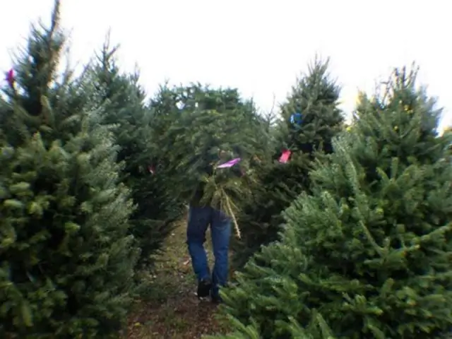 Знание того, что ваш сосед заботится об окружающей среде, побуждает людей тратить меньше энергии