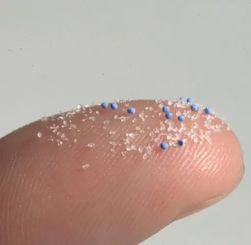 Крошечные окаменелости показывают, как сокращение было необходимо для успешной эволюции