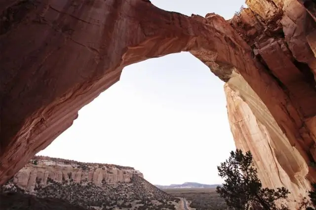 Почва хранит секрет смягчения последствий изменения климата: производство продуктов питания не должно быть жертвой изменения климата