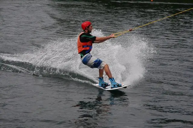 Частицы плывут по своим волнам и показывают, как микробы и клетки движутся по телу человека