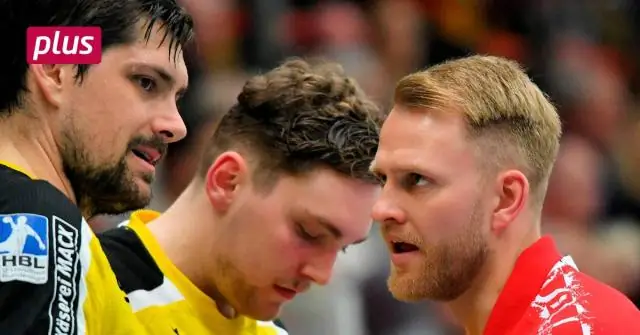 Суматоха, стоящая за борьбой приматов за власть, часто упускается из виду исследователями: социальная жизнь шимпанзе и макак сложнее, чем предполагают исследования