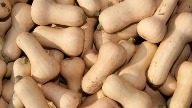 Выбор спаривания мух может помочь объяснить различия между видами