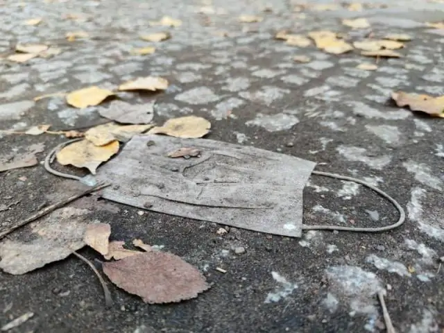 Ученые изучают вариации в белковой фабрике клетки: исследователи обнаружили шумный шаг в экспрессии генов