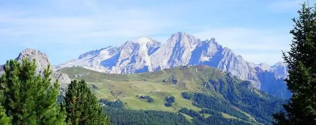 Противовоспалительный белок помогает здоровым кишечным бактериям бороться с ожирением: опубликован новый подход к снижению веса и профилактике диабета