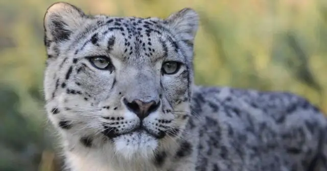 Неудачи в рыболовстве в ЕС ставят под угрозу устойчивость небольших рыбацких сообществ, утверждают исследователи