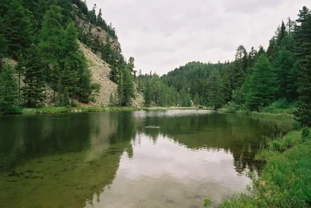 Немногие гены заводской ручьевой форели присутствуют в дикой рыбе водораздела Пенсильвании