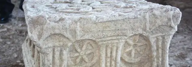 Ученые обнаружили 20 новых видов комаров в Бразилии