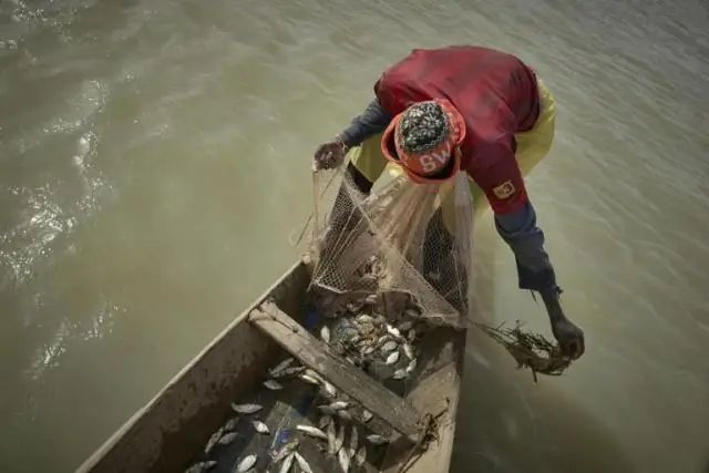 Национальные парки несут основную тяжесть изменения климата: температура в национальных парках растет в два раза быстрее, чем в США в целом