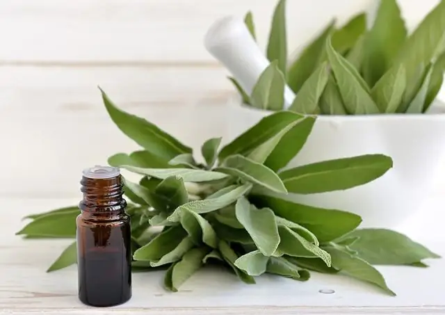 Острова ДНК эффективны как «антибактериальные дроны»