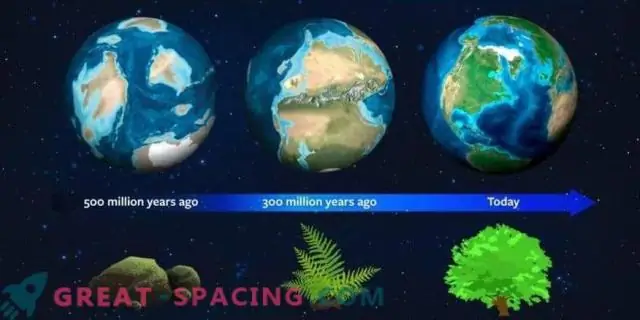 Астрономы используют естественную историю Земли как ориентир для обнаружения растительности на новых мирах
