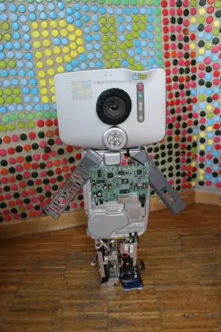 Климатические спелеологи обнаружили древних мышей