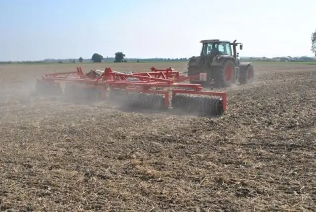 Дупликация генома стимулирует эволюцию видов