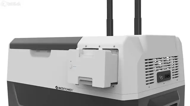 Встроенный усилитель звука помогает самцам комаров находить самок