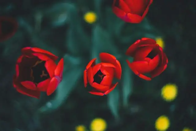 Открытие жидкого металла, позволяющее сделать токсичную воду безопасной и пригодной для питья