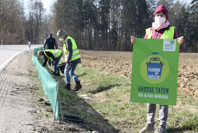 Изменение климата не является основной причиной сокращения численности амфибий