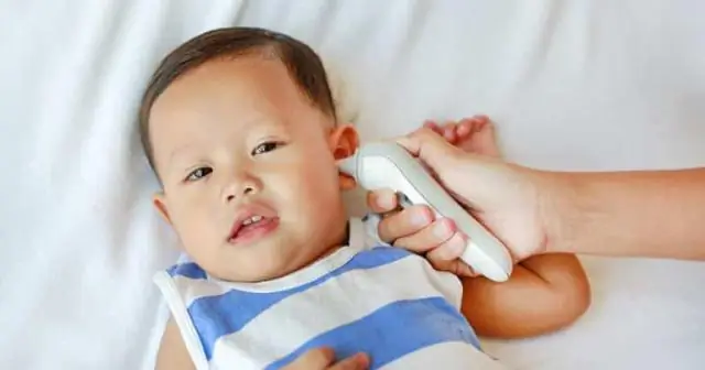 Насколько надежны черепахи для измерения океанского мусора и состояния морской среды?