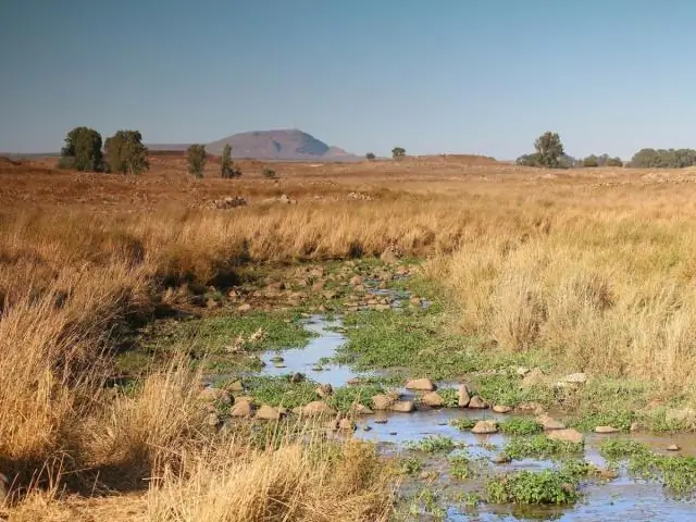 Необходимость поиска и сохранения диких сородичей сельскохозяйственных культур