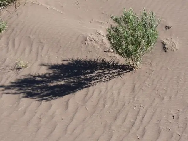 Исследователи составили карту подверженности техногенным землетрясениям