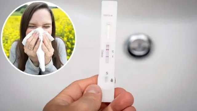 Недавно обнаруженные виды колибри уже находятся под угрозой исчезновения