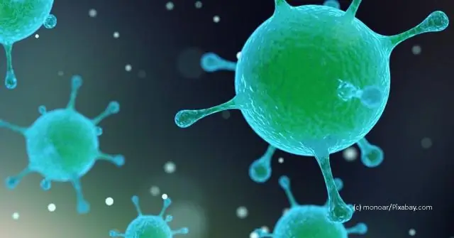 Ученые выясняют, как ДЭТА сбивает с толку бесчисленное количество тварей