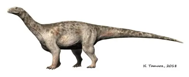 Ledumahadi mafube: новый южноафриканский гигант юрского периода