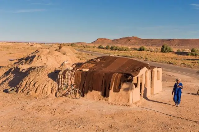 Как некоторые водоросли могут пережить изменение климата: Зеленые водоросли украли гены у бактерий, чтобы выжить в суровых условиях