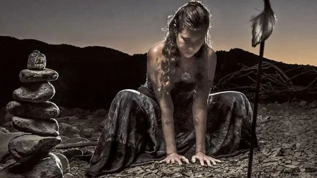 Как мумии священного ибиса стали первым испытанием эволюции: харизматичная личность отбросила признание теории эволюции за 50 лет до Дарвина