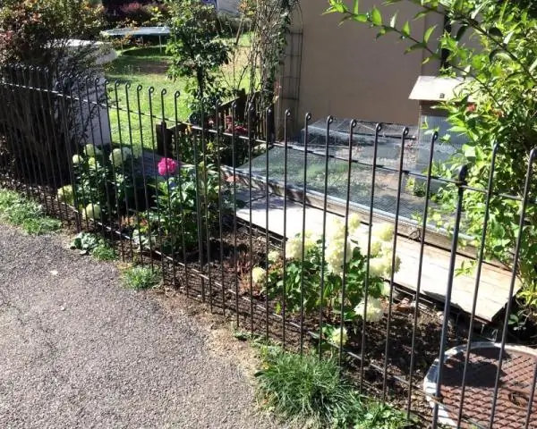 Сохранение стабильности наших клеток: более пристальный взгляд на микротрубочки