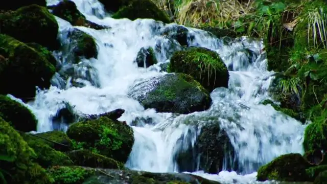 Открытия в области устойчивости к антибиотикам