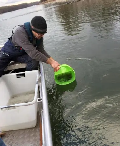 Как африканский слон растрескивал кожу, чтобы остыть