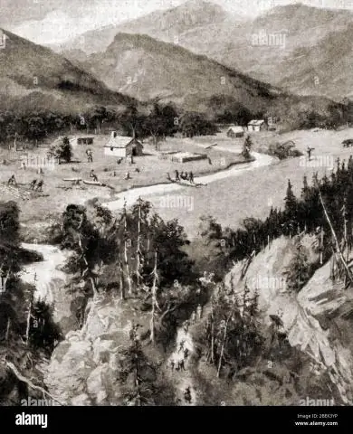 Первый термит из сухой древесины, который, как известно, использует челюсти, похожие на щелкающие палочки, для защиты своей колонии