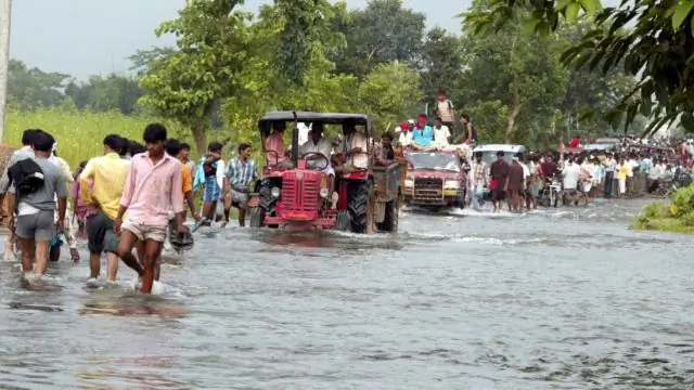 Вблизи людей живет больше млекопитающих, чем ожидалось