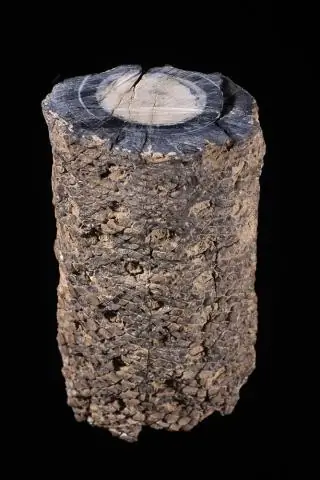 Каннибализм кобры более распространен, чем считалось ранее: исследователи в Южной Африке исследуют каннибализм капских кобр и других в регионе