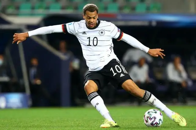 Расшифрован геном морского салата, порождающего массивные «зеленые приливы»: результаты могут помочь понять «победителей и проигравших» в условиях изменения климата