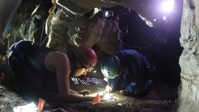 Недавно открытые соединения проливают свет на пользу здоровья цельного зерна