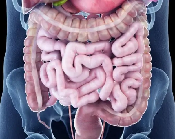 Записывающее устройство для сотовой истории